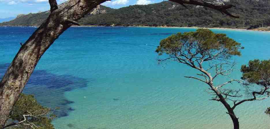 PORQUEROLLES_5 2