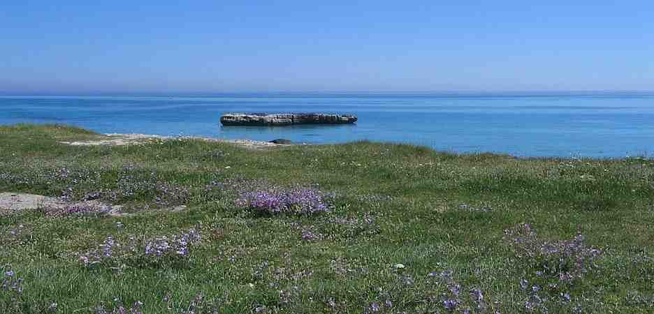Salento